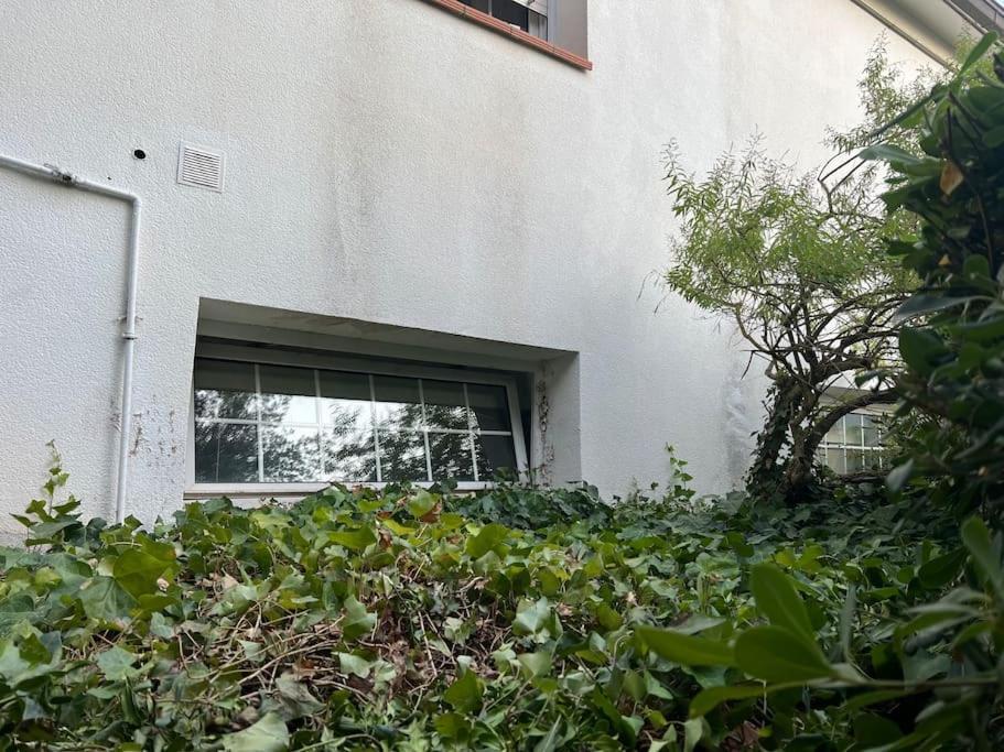 Alojamiento Privado En Casa De Montana Matadepera Exterior foto